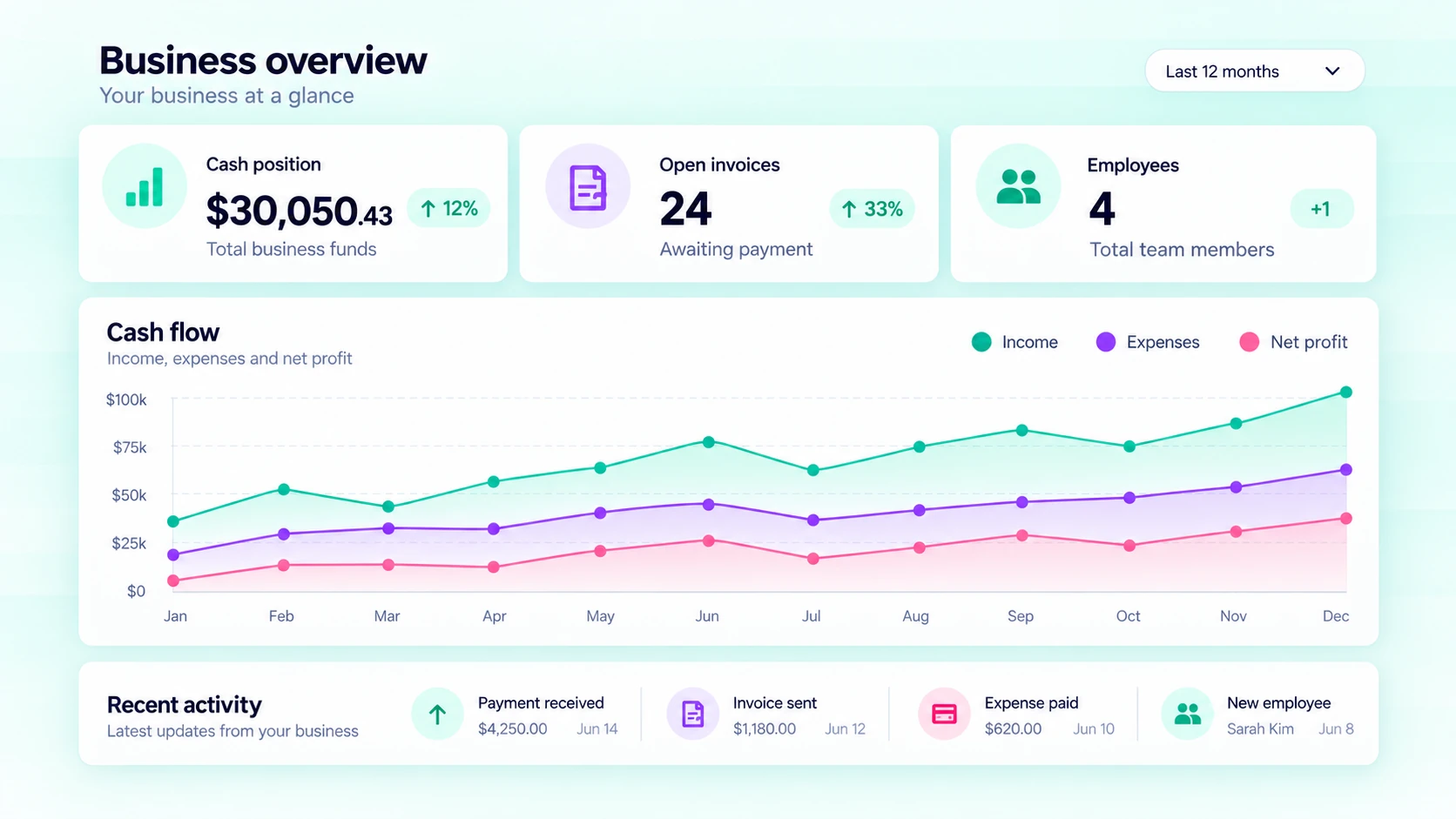 Mint business summary with sample cash flow, invoice totals and recent activity.